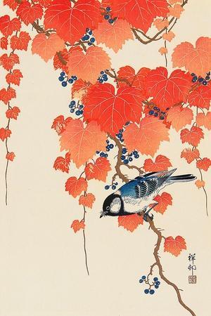 Bird and Red Ivy - Giclee Print, 12x18