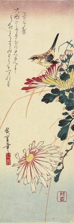 Chrysanthemums and a Shrike, 1830-1858 - Giclee Print, 8x24