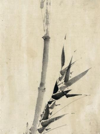Japan: Bamboo, C1830-1850 - Giclee Print, 12x16