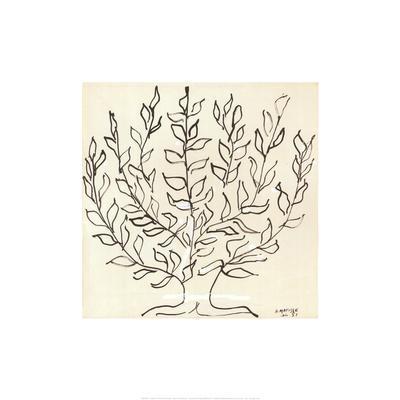 Le Platane - Wall Art Print, 20x20 Le Platane - Wall Art Print, 20x20