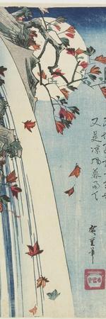 Moon Through Leaves, C. 1832 - Giclee Print, 8x24 Moon Through Leaves, C. 1832 - Giclee Print, 8x24