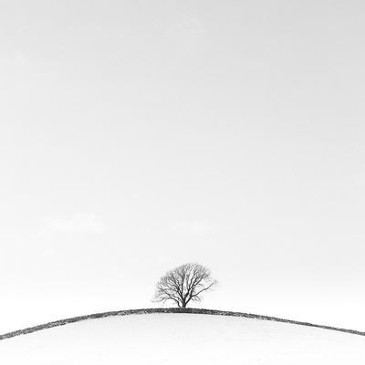 On the Crest - Photographic Print, 16x16 On the Crest - Photographic Print, 16x16