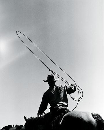 Rodeo III - Giclee Print, 16x20