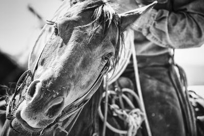 Soul of the West - Photographic Print, 18x12