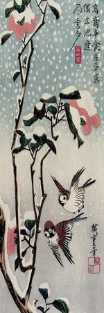 Sparrows and Camellias in the Snow, 1830s - Giclee Print, 8x24