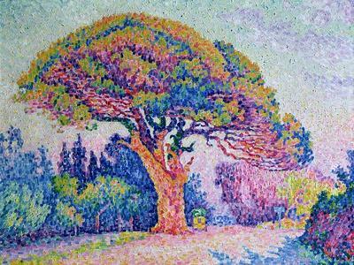 The Pine Tree at St. Tropez, 1909 - Giclee Print, 16x12