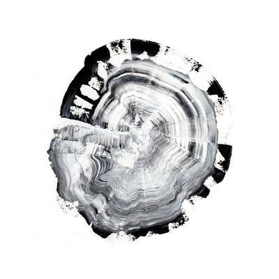 Tree Ring Abstract III - Wall Art Print, 16x16