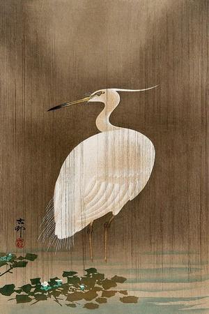 Wading Egret - Giclee Print, 12x18