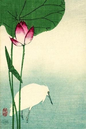 White Heron with Lotus in Water Vintage Japanese Woodblock Print - Wall Art Print, 12x18